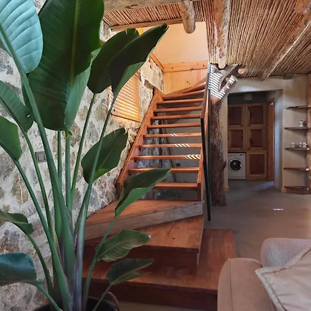 Vila Alametifarika Evi Dalyan