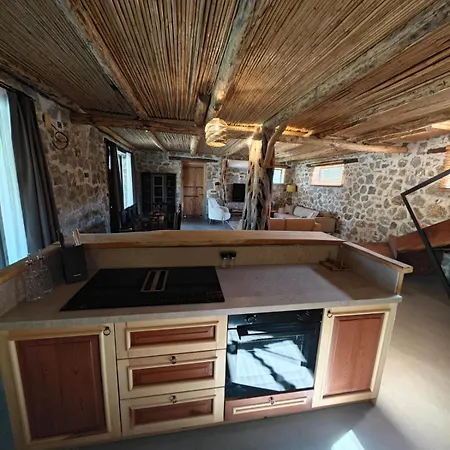 Alametifarika Evi Dalyan