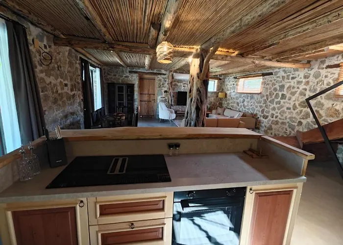 Alametifarika Evi Dalyan