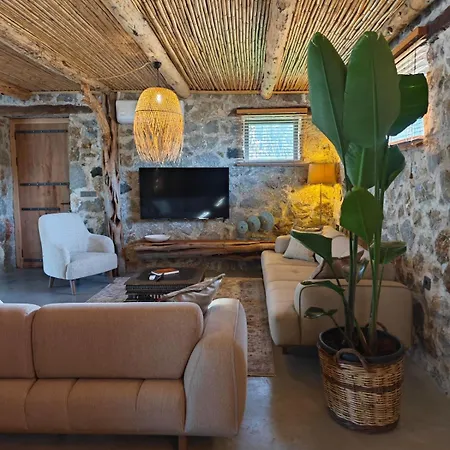 Alametifarika Evi ヴィラ ダルヤン