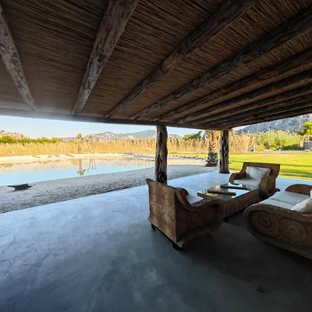 Alametifarika Evi ダルヤン