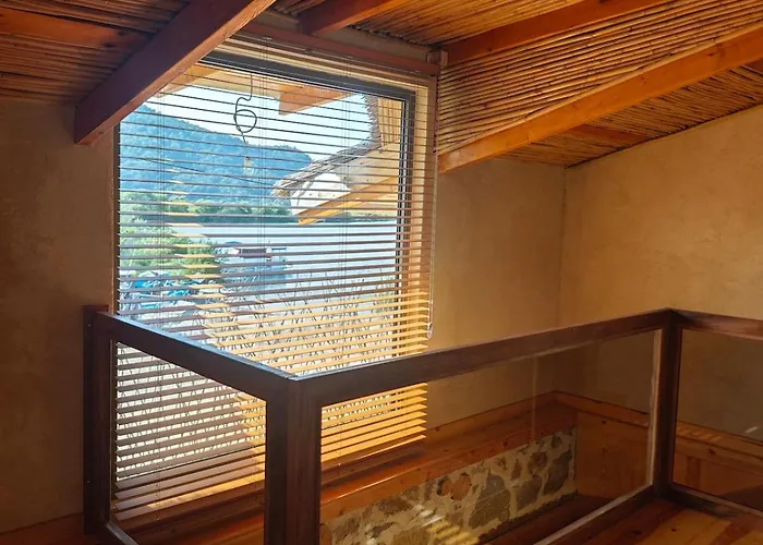 Alametifarika Evi דליאן