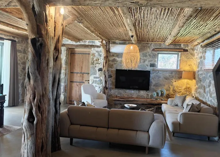 וילה Alametifarika Evi *